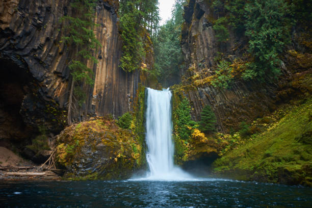 toketee falls - flowing water river waterfall water imagens e fotografias de stock