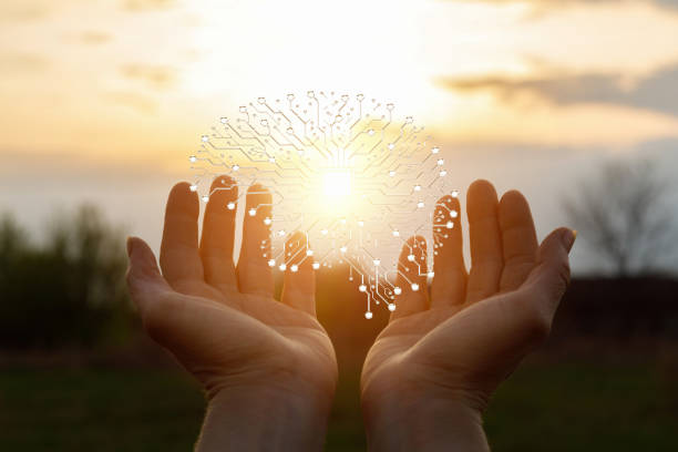 A closeup of digital brain model hanging above female palms at sunset and evening nature background. The artificial intelligence concept.