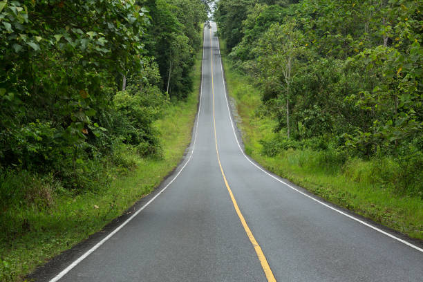 istock Paved road amidst forests and mountains. 1145970232
