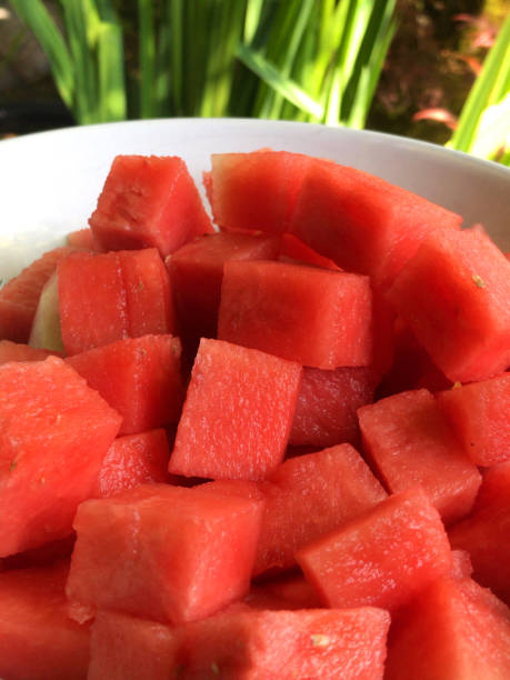 Stock photo showing some juicy red seedless watermelon chunks / melon cubes, which have been cut up and diced. Being eaten in white dish as a simple breakfast fruit salad, the sliced red watermelon chunks are picture outside in a sunny garden, with a blurred background of iris leaves and a granite Japanese lantern. This sliced watermelon fruit snack is a concept photo to illustrate both 'five a day' portions of fruit and vegetables healthy eating, as well as the pleasure of al fresco dining outside, away from the kitchen table.