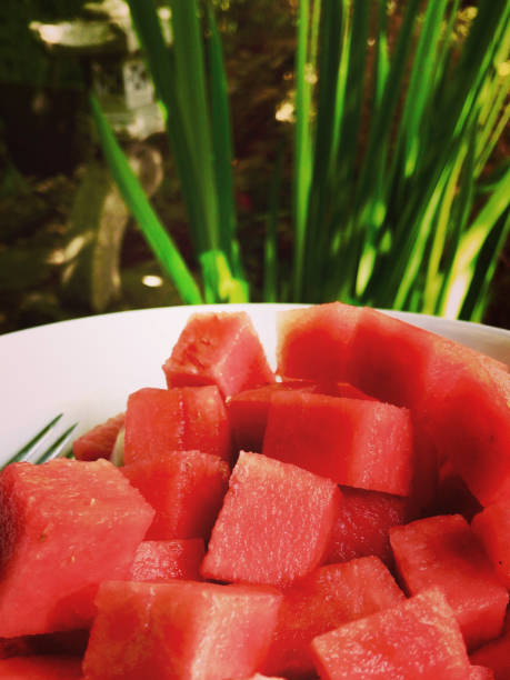 istock Image of seedless watermelon chunks and red melon cubes being eaten in white dish for breakfast fruit salad, outside in sunny garden, sliced watermelon fruit snack showing healthy eating five a day / al fresco dining 1145971210