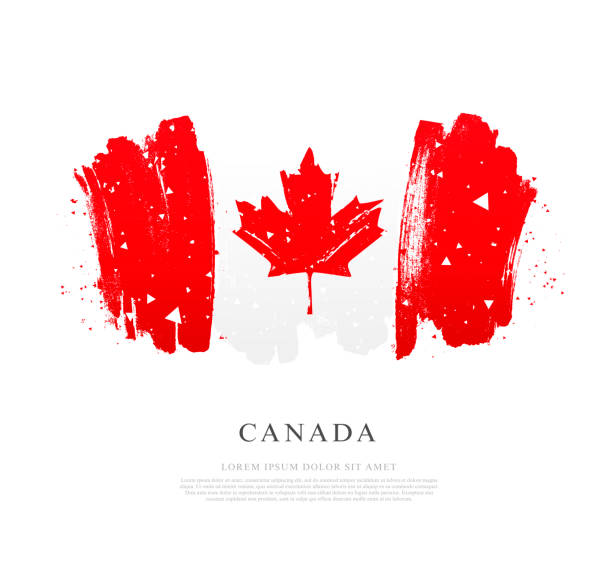 istock Flag of Canada. Vector illustration on white background. Brush strokes drawn by hand. 1145973014