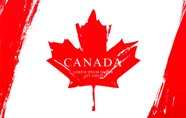 istock Flag of Canada. Vector illustration on white background. Brush strokes drawn by hand. 1145973029