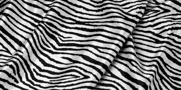 istock animal zebra skin 1145973683