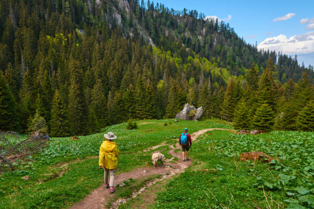 istock enjoy day in the mountains 1145974360