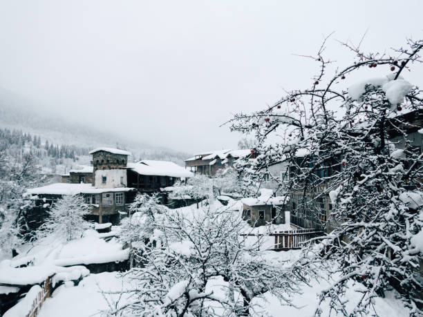 istock Snowy winter in a mountain village 1145974428