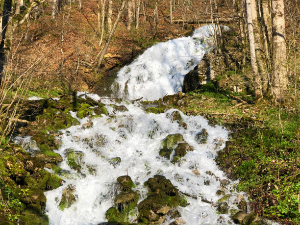 istock Water supply flowing source Tschuder with waterfall and karst spring or Karstquelle Tschuder, Schwende 1145978657