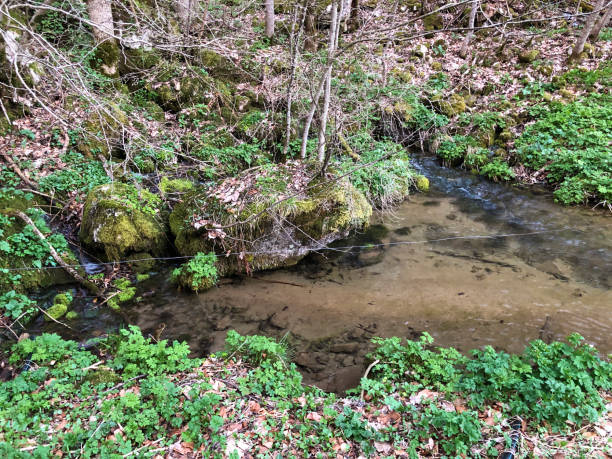 istock Sources next to the karst spring and waterfall Tschuder under the Ebenalp mountain range and in the Appenzellerland region 1145980390