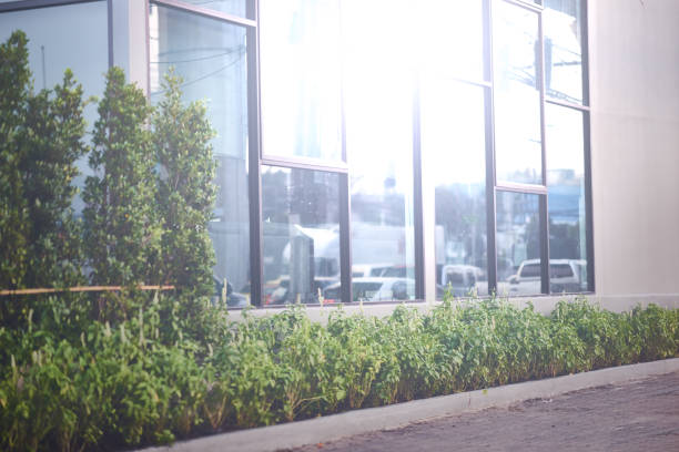 refection of sun light on office mirror