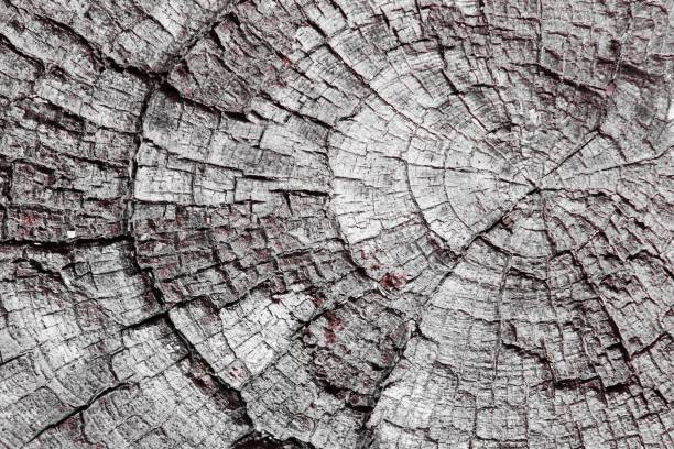 istock red natural desk texture - fantastic abstract photo background 1145984899