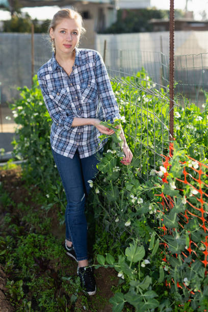 istock Woman working in garden 1145990085