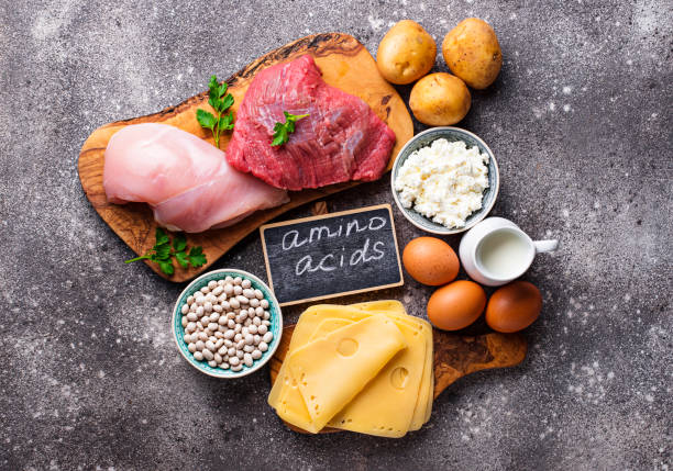 Products rich in amino acids. Products rich in amino acids.  Protein sources and food for bodybuilders amino acid photos stock pictures, royalty-free photos & images