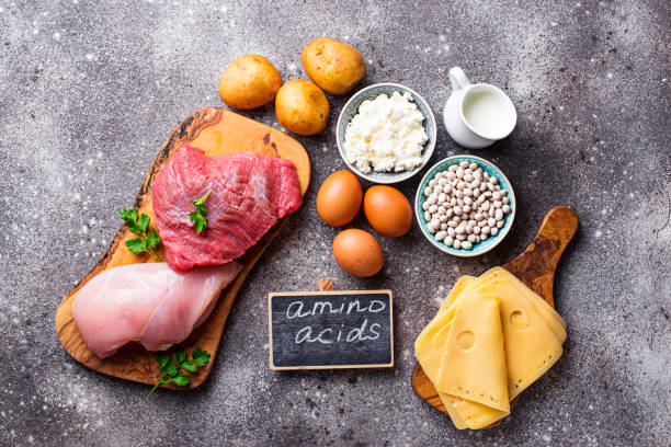 istock Products rich in amino acids. 1145991313