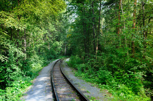 istock one way old railroad in rural area with green trees 1145996121
