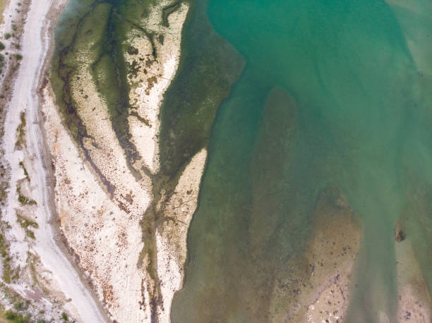 istock Aerial View Of Seascape 1146001486