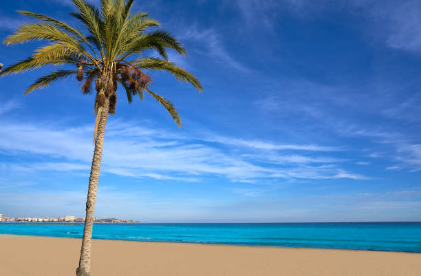 istock Alicante Postiguet Beach in Costa Blanca 1146003729