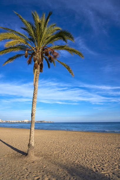 istock Alicante Postiguet Beach in Costa Blanca 1146003844