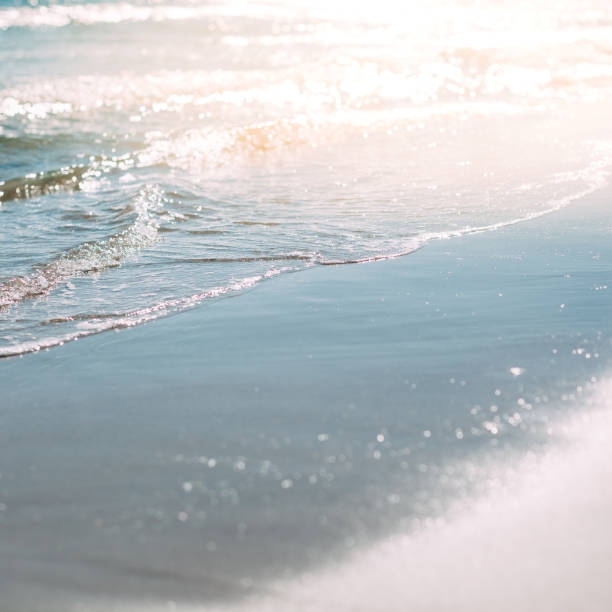 istock Summer sand beach and seashore waves background 1146004048