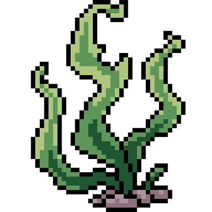 vector pixel art seaweed isolated cartoon