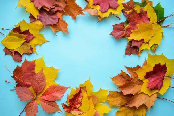 istock Frame of autumn leaves on blue background 1146005831