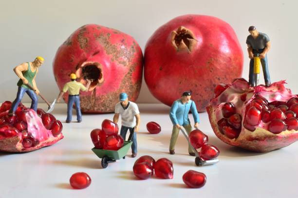istock Close-Up Of Figurines On Pomegranates At Table 1146008743