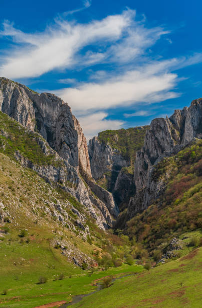 istock Spring mountain gorge, Turda Gorge, Romania 1146012194