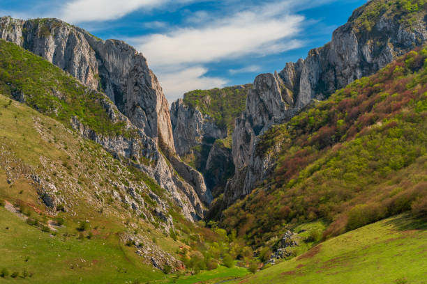 istock Spring mountain gorge, Turda Gorge, Romania 1146012207