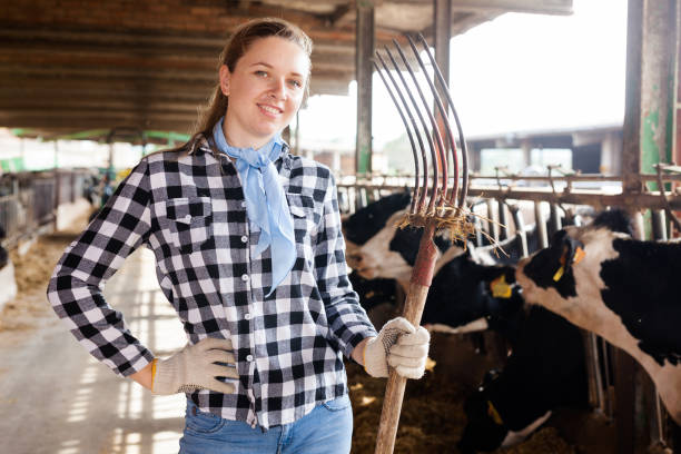 istock Female farmer on dairy farm 1146013377