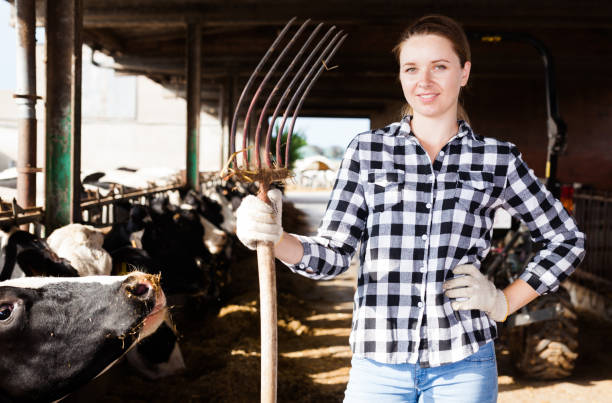 istock Female farmer on dairy farm 1146013945