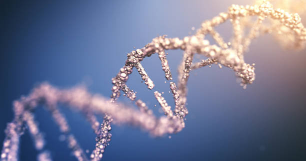 hochdetaillierte dna (multi colored) - dna chromosome genetic research genetic mutation stock-fotos und bilder
