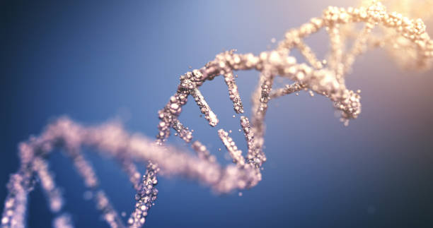 매우 상세한 dna (멀티 컬러) - nucleotides 뉴스 사진 이미지