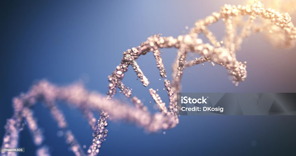 Highly Detailed DNA (Multi Colored) Beautifully rendered depiction of the human DNA, perfectly usable for a wide range of topics related to healthcare and medicine. DNA Stock Photo