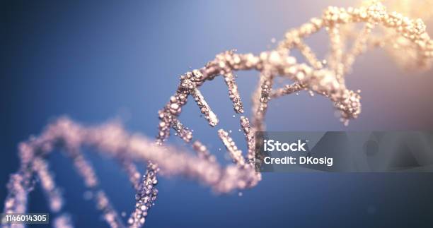 Highly Detailed Dna Stock Photo - Download Image Now - DNA, Genetic Research, Gene Therapy