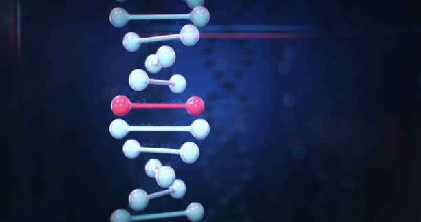Human DNA (Dark) Abstract depiction of the human DNA, perfectly usable for a wide range of topics related to healthcare and medicine. dna purification stock pictures, royalty-free photos & images