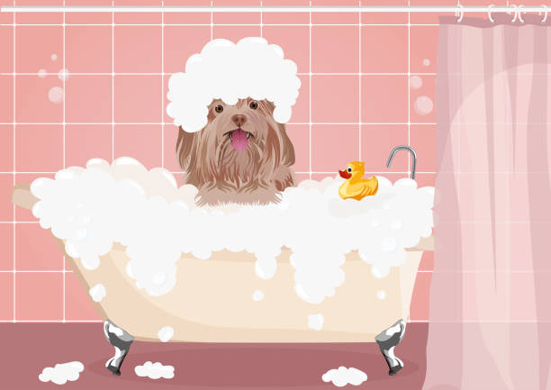 ilustrações de stock, clip art, desenhos animados e ícones de dog wash. cute dog taking a bath full of soap foam. - dog bathtub washing puppy