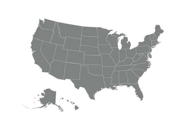 USA map. Flat style - stock vector.