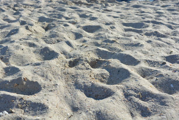 желтый песок с мелкой оболочкой на берегу черного моря в железном порту. - sand dune audio стоковые фото и изображения