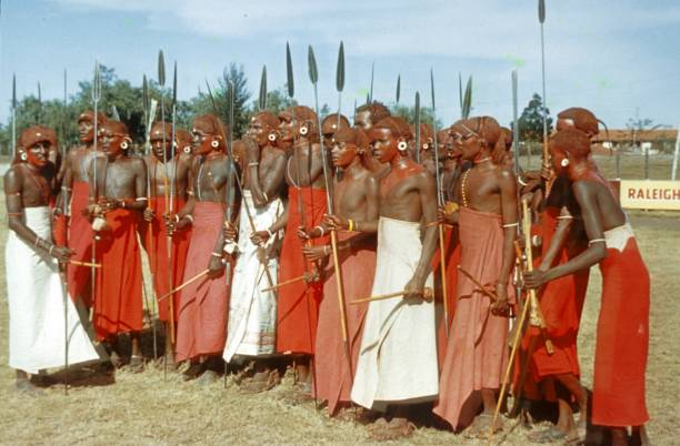 Talek, Kenya - July 16, 1995: Masai tribesmen herding cattle near Masai Mara Game Reserve, Kenya. Masais are maybe the most famous of all african tribes, living in the great open plains of southwestern Kenya and northwestern Tanzania. They are basically a pastoralist tribe owing great herds of cattle, considered their most valuable possessions. Well known for their bravery and warrior spirit, they didn't hesitate to confront lions when the cat attack their cattle. Armed only a buffalo hide shield and a long spear they are known to kill lions with only this waeponry. They live in small villages called manyattas, where mud huts are built and then surrounded by a big rounded thorn fence, as a protection against lions and other predators.