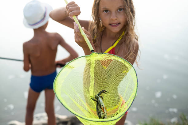 3,300+ Child Fishing Net Stock Photos, Pictures & Royalty-Free Images -  iStock