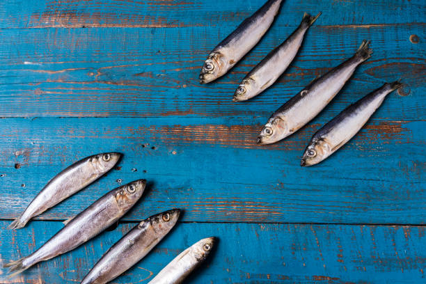istock Fish pattern. Herring fish on an old blue wooden background. 1146019756