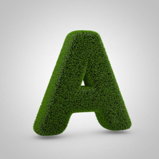 istock Green moss uppercase letter A isolated on white background 1146021317