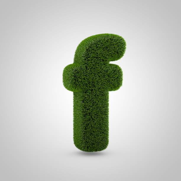 istock Green moss lowercase letter F isolated on white background 1146021352