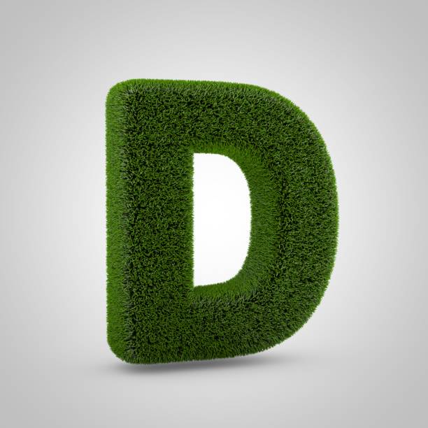 istock Green moss uppercase letter D isolated on white background 1146021380