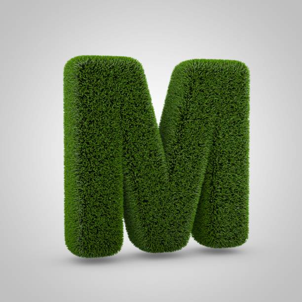 istock Green moss uppercase letter M isolated on white background 1146021460