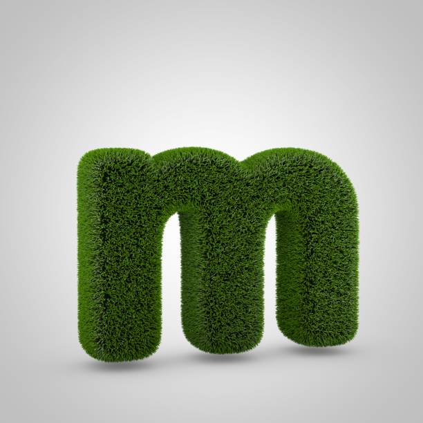 istock Green moss lowercase letter M isolated on white background 1146021473