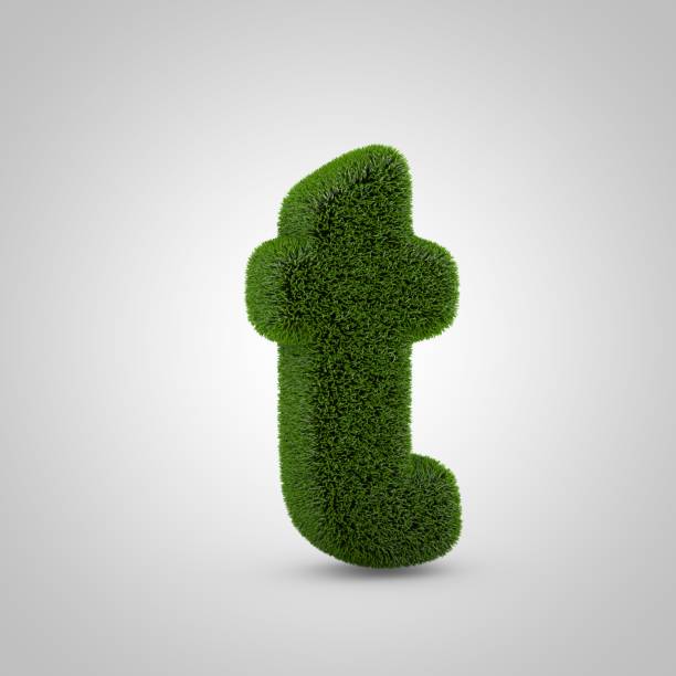 istock Green moss lowercase letter T isolated on white background 1146021494