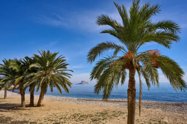 istock Altea Beach Playa La Roda in Alicante 1146021821