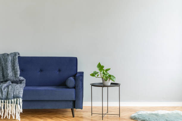 istock Minimalistic and luxury grey home interior with purple velvet design sofa, black coffe table with plant, carpet and elegant blanket. Copy space for inscription, mock up poster. Brown wooden parquet. 1146022414