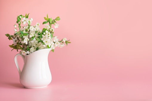 Pink carnation flower in vase