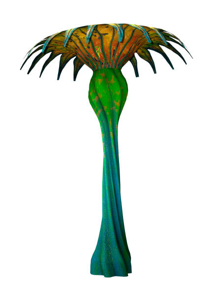 istock 3D illustration fantasy alien plant on white 1146028380
